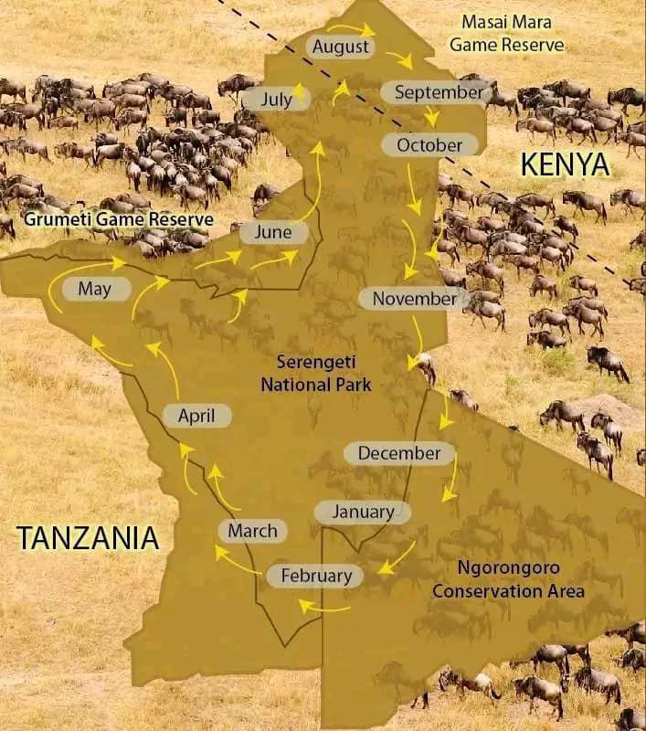Map of Tanzania